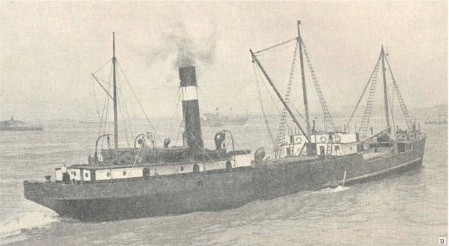 S.S. Wexfordian